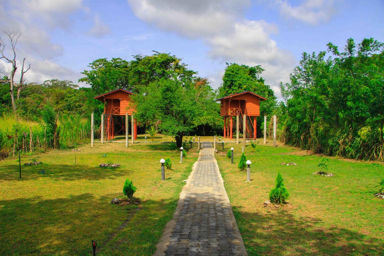 Отель Sigiri Royal Point Tree House Сигирия Экстерьер фото