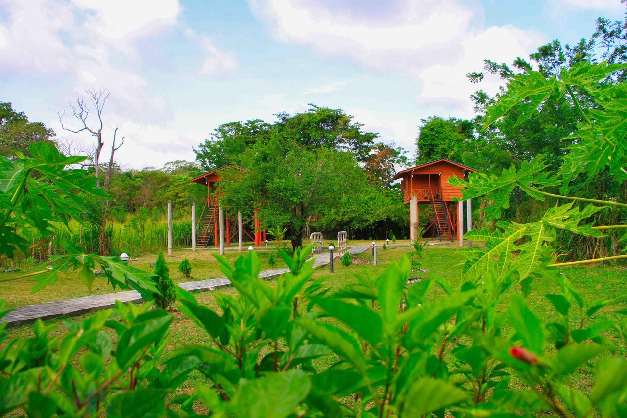 Отель Sigiri Royal Point Tree House Сигирия Экстерьер фото