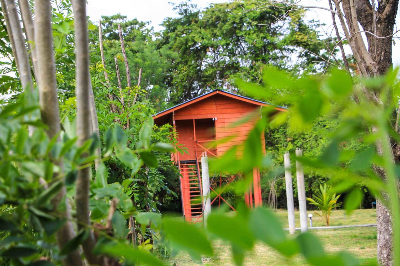 Отель Sigiri Royal Point Tree House Сигирия Экстерьер фото